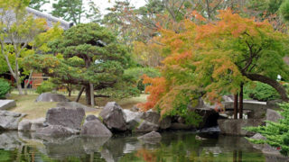 葉山しおさい公園美しい日本庭園が魅力！ 皇室ゆかりの地