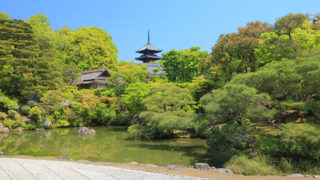 京都 仁和寺遅咲きの御室桜が美しい真言宗御室派の総本山