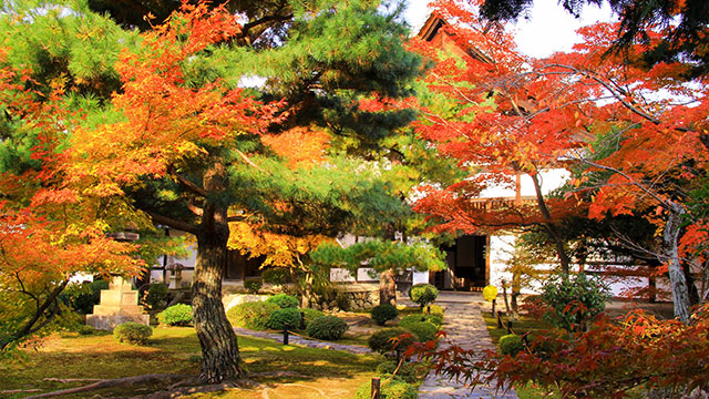 京都 鹿王院 の魅力と見どころ 歴史を1ページでサクッと紹介 宿坊体験もできる紅葉が見事な寺院 Mar Ker